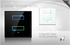 The role, status and function of Exclusive agent