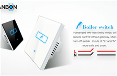 Lanbon New Generation boiler switch.